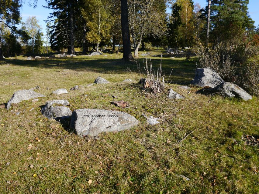 From Stockholm: Viking Culture and Heritage Small Group Tour - Service Quality