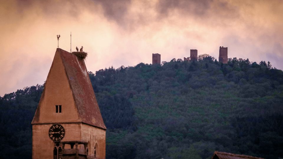 From Strasbourg: Discover Colmar and the Alsace Wine Route - Common questions