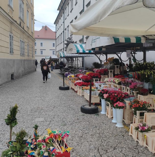 From Swamp to State: A Self-Guided Audio Tour in Ljubljana - Directions and Tips