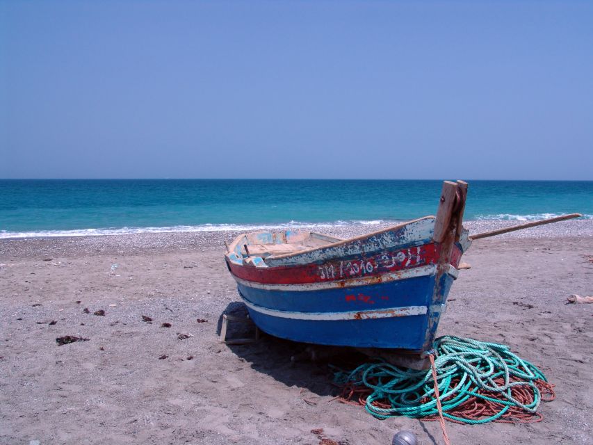 From Tangier: Asilah City Tour - Tour Highlights