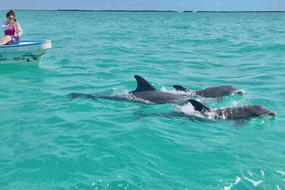 From Tulum: Sian Ka'an Day Tour - Last Words