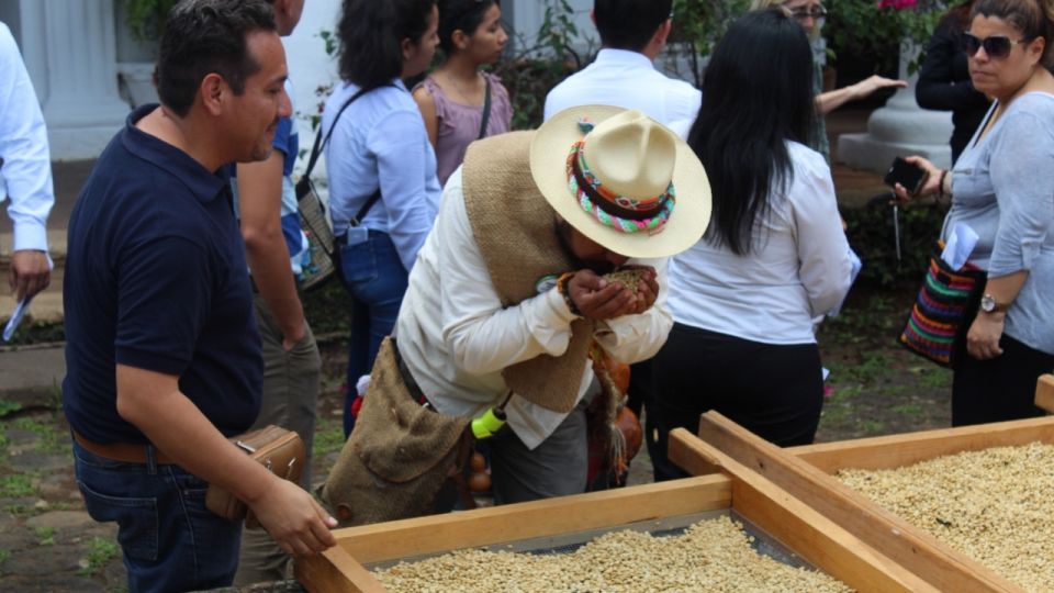 From Veracruz or Boca Del Río: Coffee Tour in Coatepec - Common questions