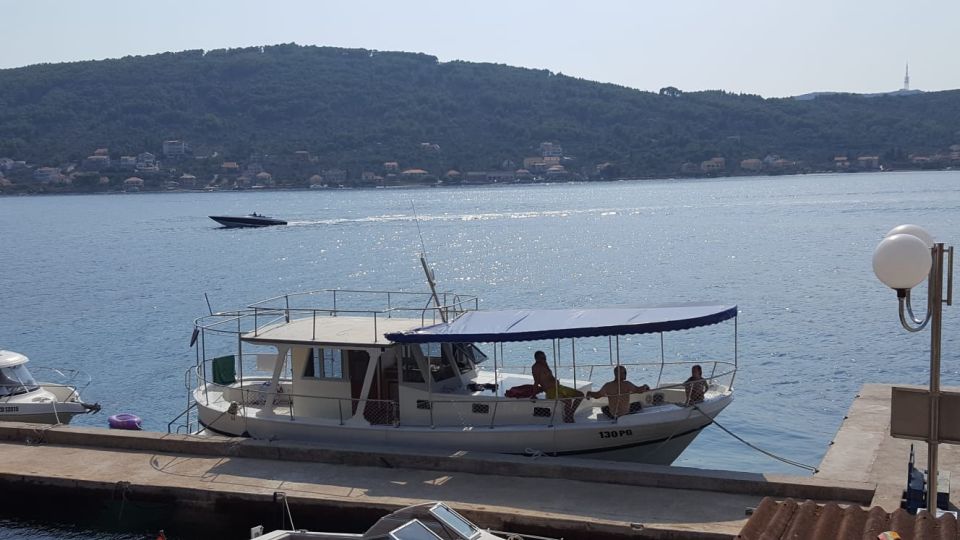 From Zadar: Private Half-Day Swimming Trip by Boat - Common questions