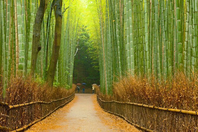 Full-Day Private Bamboo Grove and Golden Temple in Kyoto Tour - Additional Information