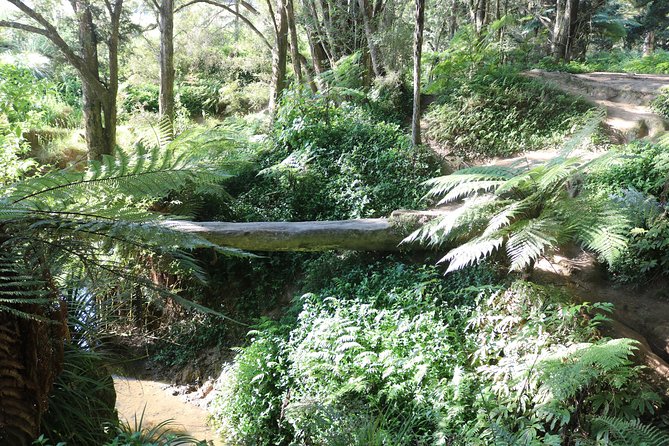 Full-Day Small-Group Glowworm Exploration Tour in New Zealand - Booking Information