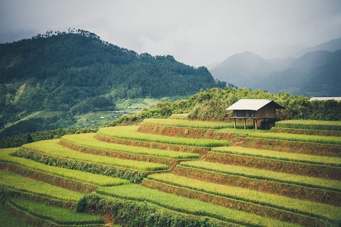 Full Day Trekking Mu Cang Chai - Common questions