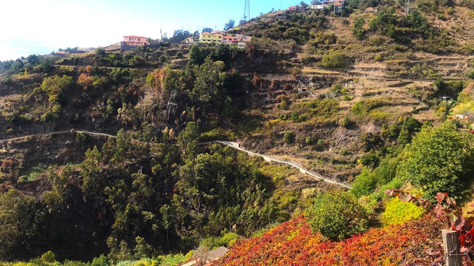 Funchal: Northern Levada Walking Tour - Experience Highlights