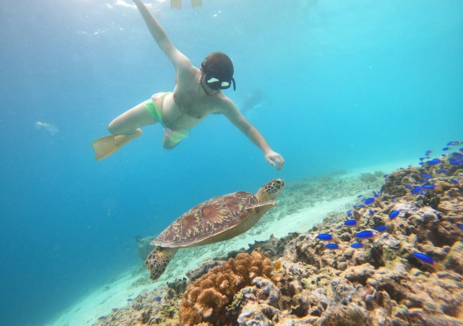 Gili T Island: The Thrilling Sunset Snorkeling Adventure - Common questions