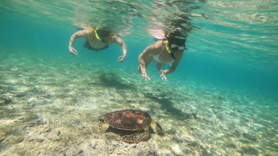 Gili Trawangan: Gili Island 3 Spots Snorkeling With Turtle - Common questions