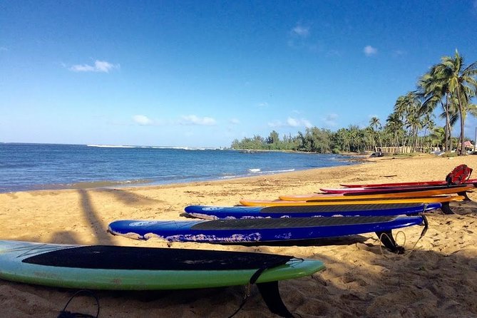 Group Stand Up Paddle Lesson and Tour - Last Words