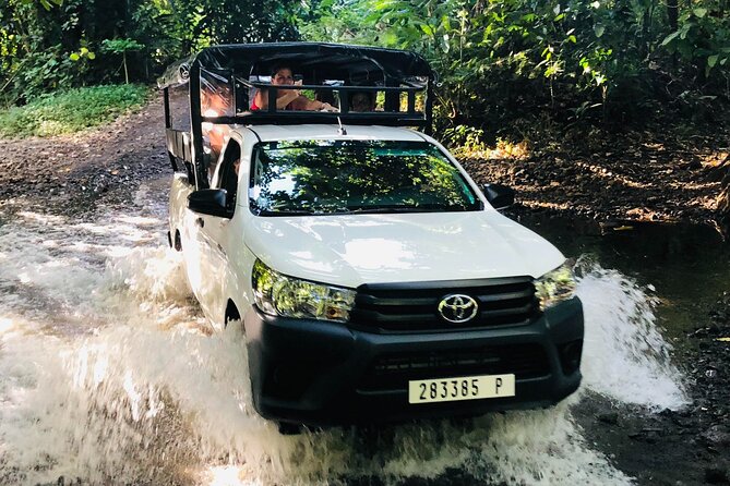 Guided Excursion in 4x4 in Moorea Between Land and Sea - Last Words