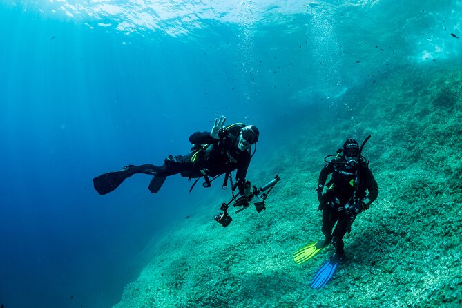 Guided Scuba Diving for Beginners Without License From Sorrento (5 Hours) - Last Words