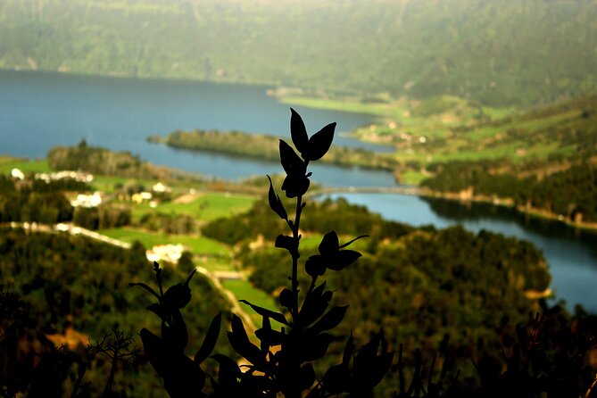 Half-Day 4x4 Tour to Lagoa Das Sete Cidades - Booking Details