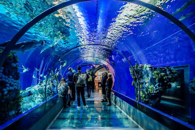 Half Day Antalya Aquarium Tour And Wax Museum - Last Words