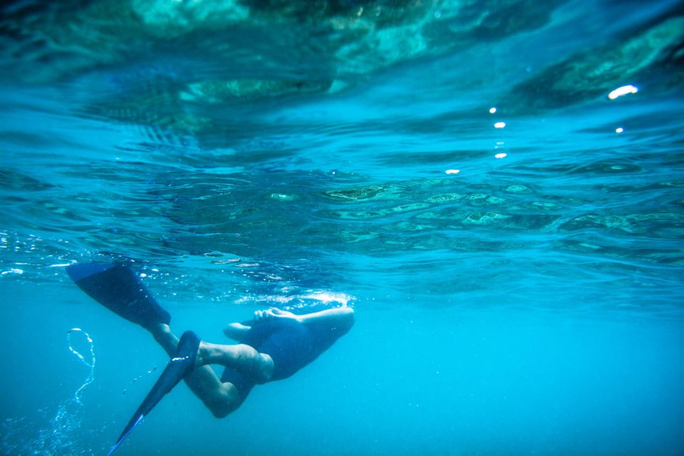 Half Day Guided Snorkel Tour in Los Cabos - Common questions