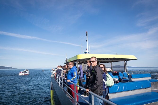 Half-Day Whale Watching Adventure From Vancouver - Last Words