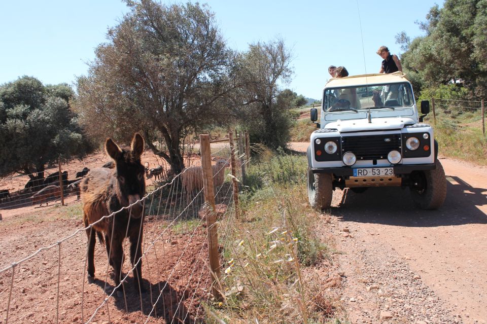 Halfday - Algarve Jeep Safaris Tours - Additional Information
