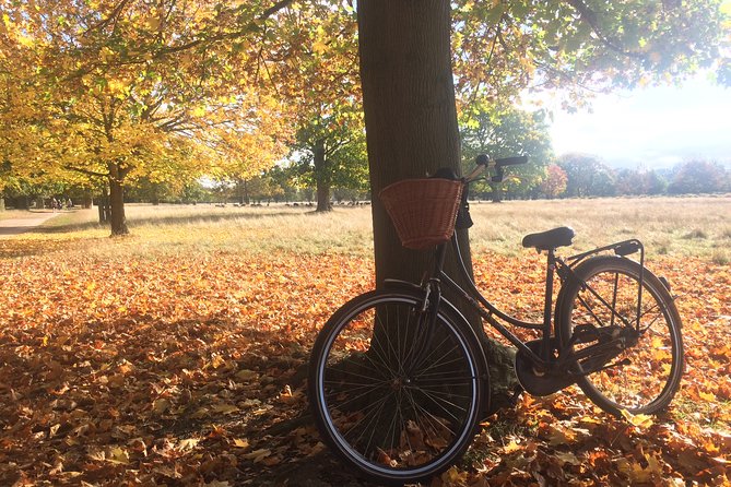 Hampton Court Palace Grounds Bike Tour - Reviews & Pricing