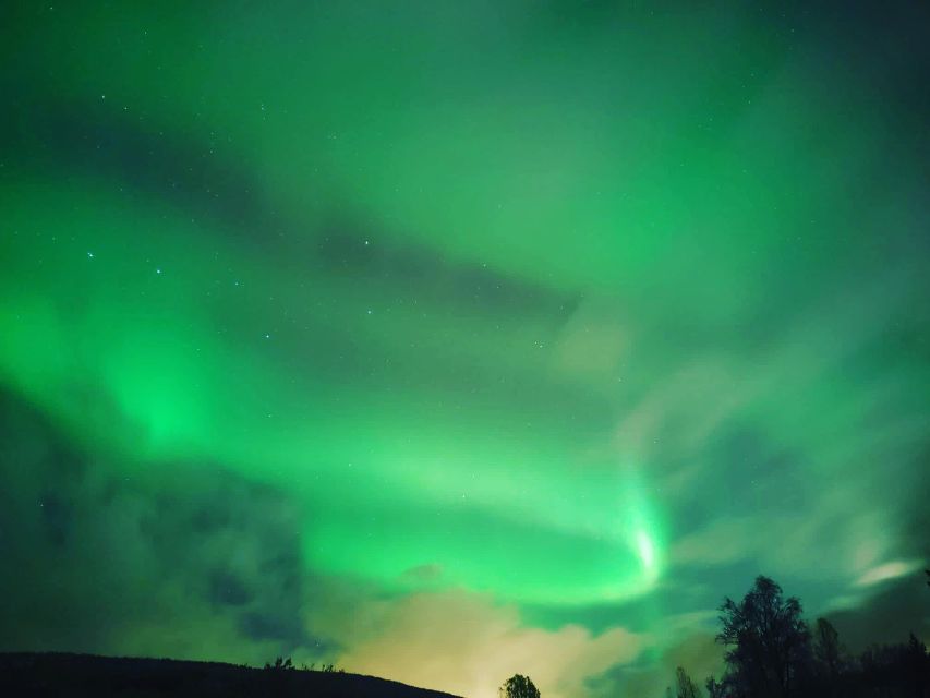 Harstad/Narvik/Tjeldsund: Northern Lights Sightseeing by Car - Guest Feedback