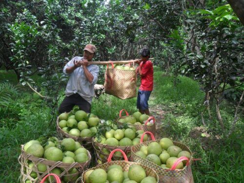 HCMC: Cai Rang Floating Market & Mekong Delta Private Tour - Common questions