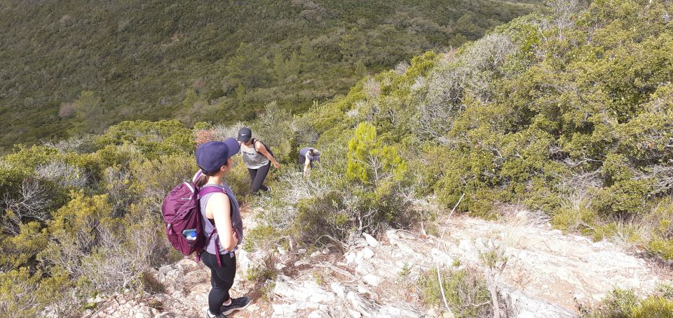 Hiking Tour to the Highest Point of Arrábida Mountain - Common questions