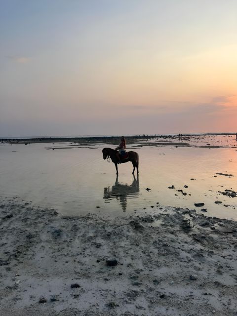 Horse Ride On The Beach on Gili Island - Last Words