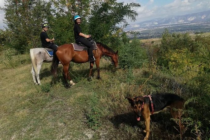 Horse Riding on Vesuvius - Last Words