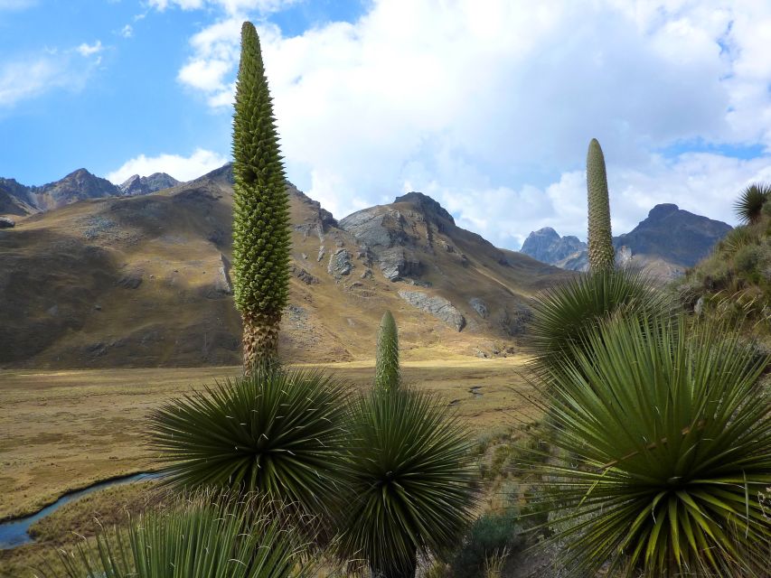 Huaraz: Pastoruri Glacier Day Trip - Common questions