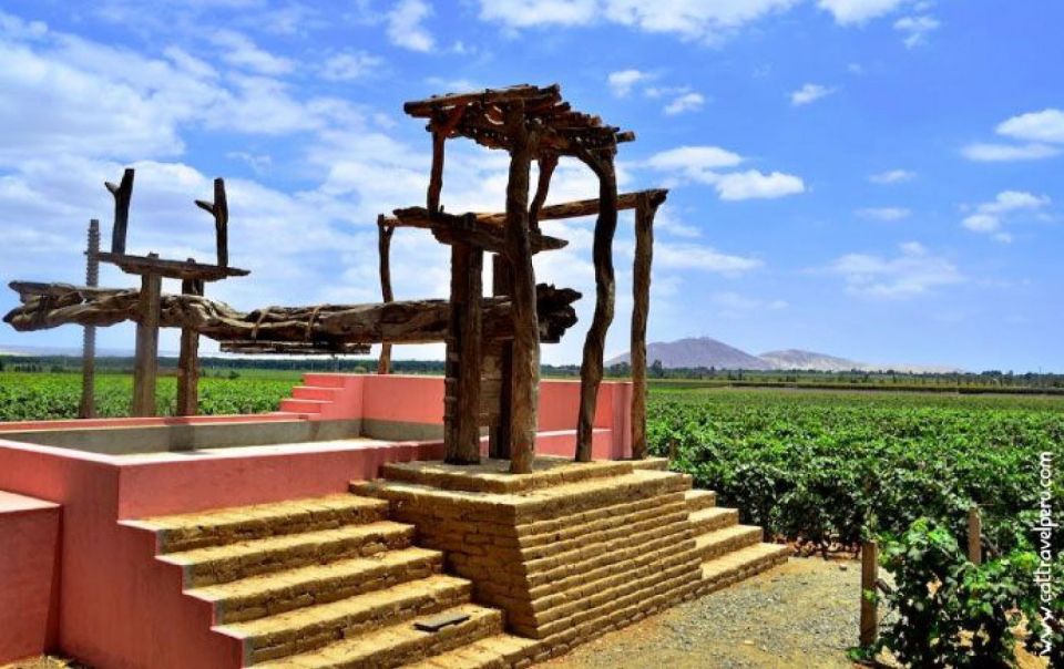 Ica: Pisco Wineries and Vineyards Day Tour - Common questions