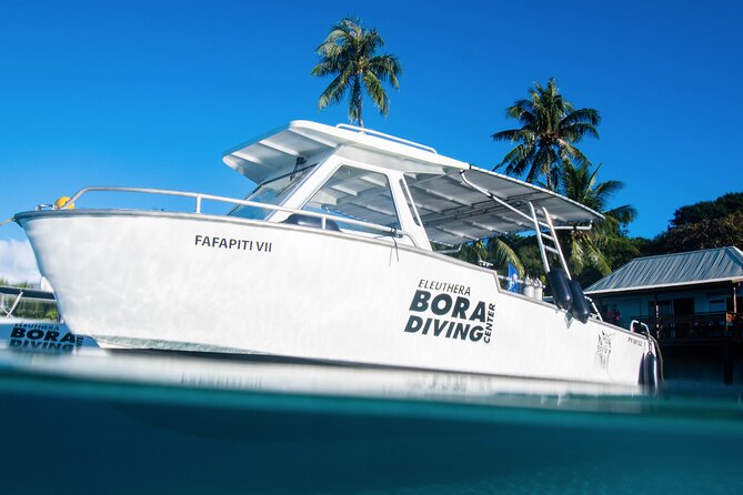 Introductory Dive in Bora Bora (afternoon) - Host Responses and Service Improvements