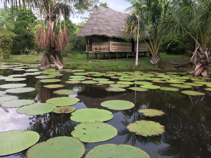 Iquitos: 2 Days and 1 Night Guided Amazon Jungle Tour - Last Words