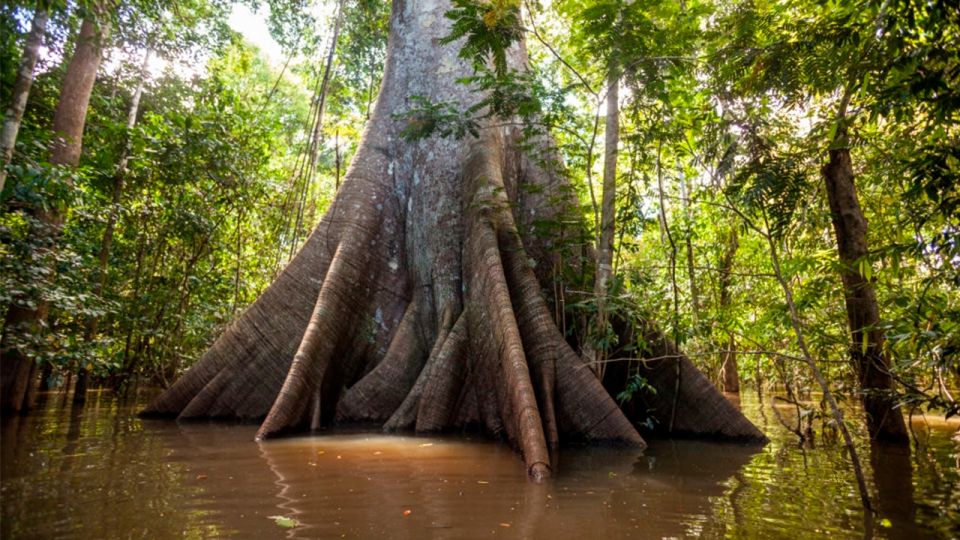 Iquitos: 6-Hour Wonderful Wildlife Guided Tour - Common questions