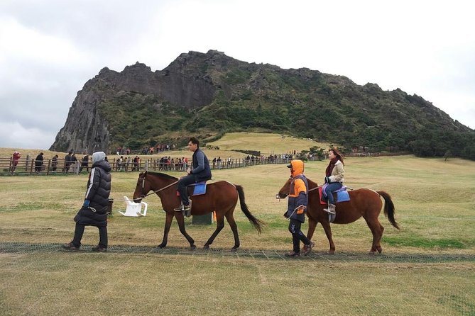 Jeju Island Private Taxi Tour : 2 Full Days - Cultural Experience and Flexibility