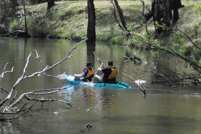 Kayak Self-Guided Tour on the Campaspe River Elmore, 30 Minutes From Bendigo - Common questions