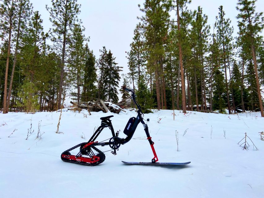 Kelowna: Snow E-Biking With Lunch, Wine Tastings & S'mores - Wine Tastings & Treats