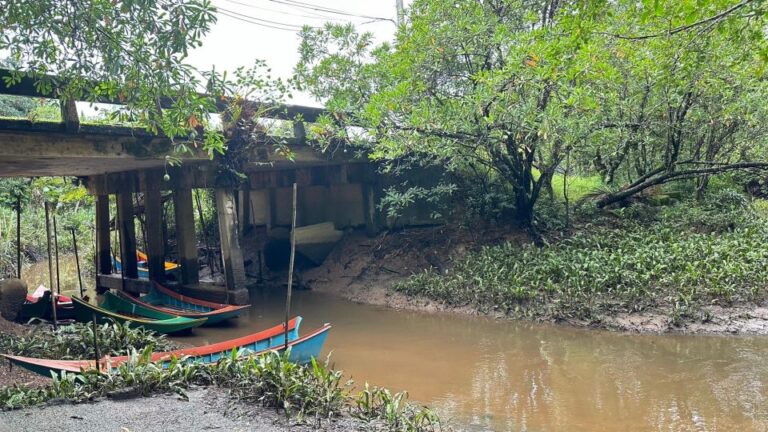Khao Lak: Elephant Sanctuary Visit and Mangrove Kayak Tour