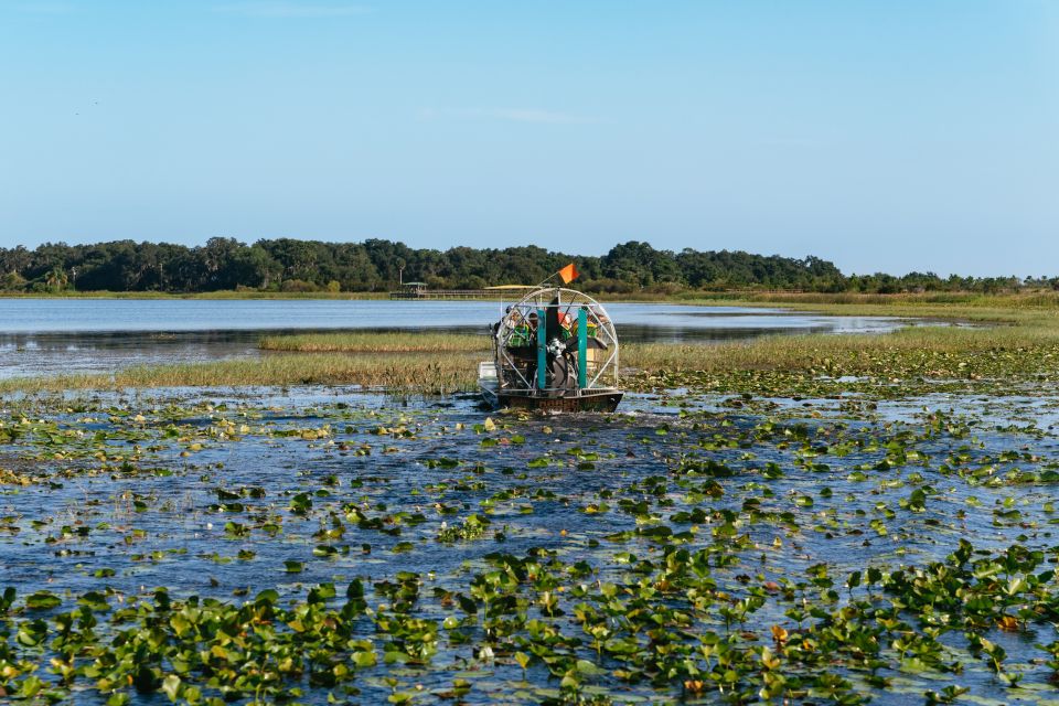 Kissimmee: 1-Hour Airboat Everglades Adventure Tour - Key Points