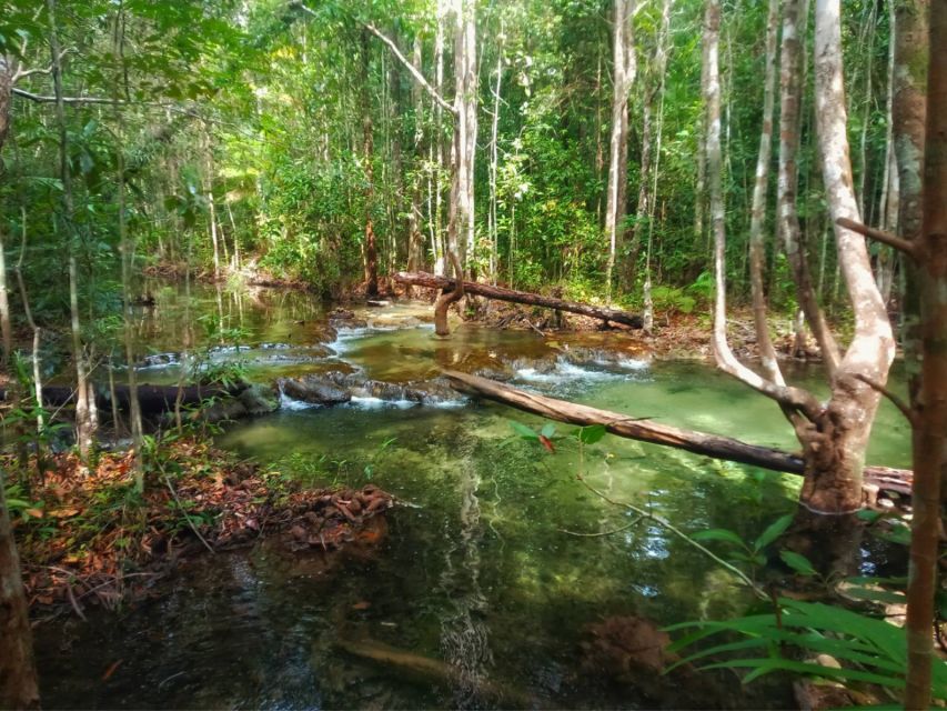 Ko Lanta: Full Day Jungle Tour With Tiger Temple - Last Words