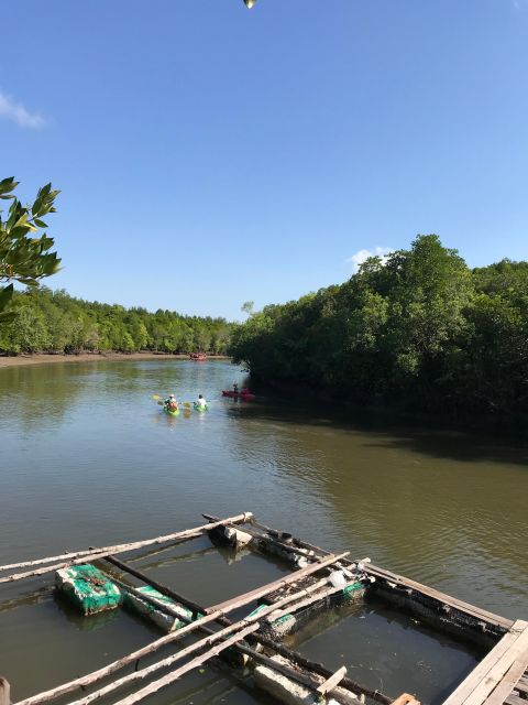 Ko Lanta: Half-Day Mangrove Kayaking Tour With Lunch - Common questions