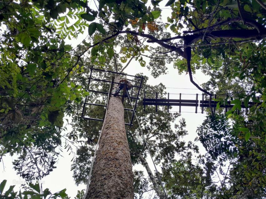 KRABI Zipline & Canopy TreeTop Walk - Common questions