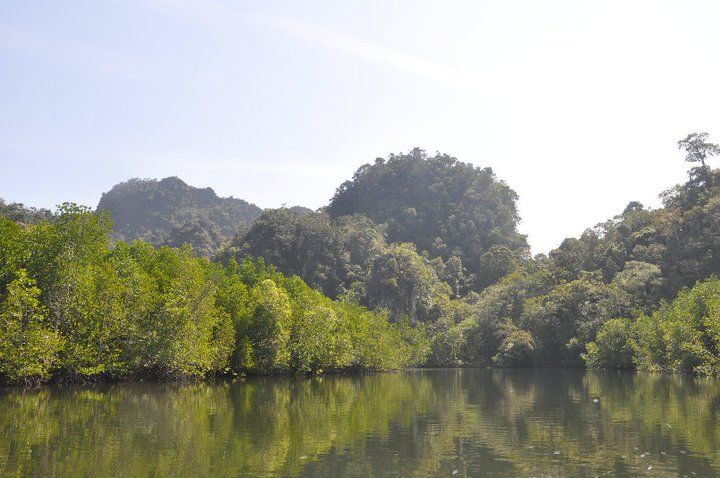 Langkawi: Full-Day Mangrove Safari Boat Tour With Lunch - Environmental Education