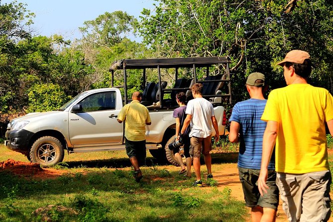 Leopard Safari Tour in Yala National Park - Last Words