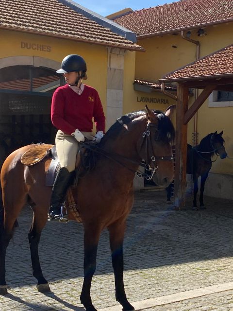 Lisbon: Morning of Equestrian Art With Lusitano Horses - Last Words