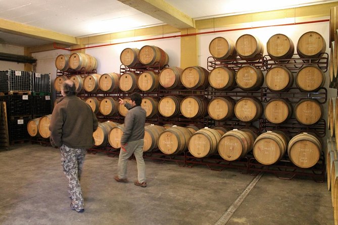 Lisbon Northern Region Wine Tasting Private Tour - Logistics and Pickup Information