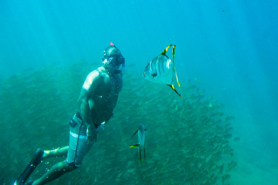 Los Cabos: Bay Kayaking and Snorkeling Private Tour - Private Guided Tour Experience