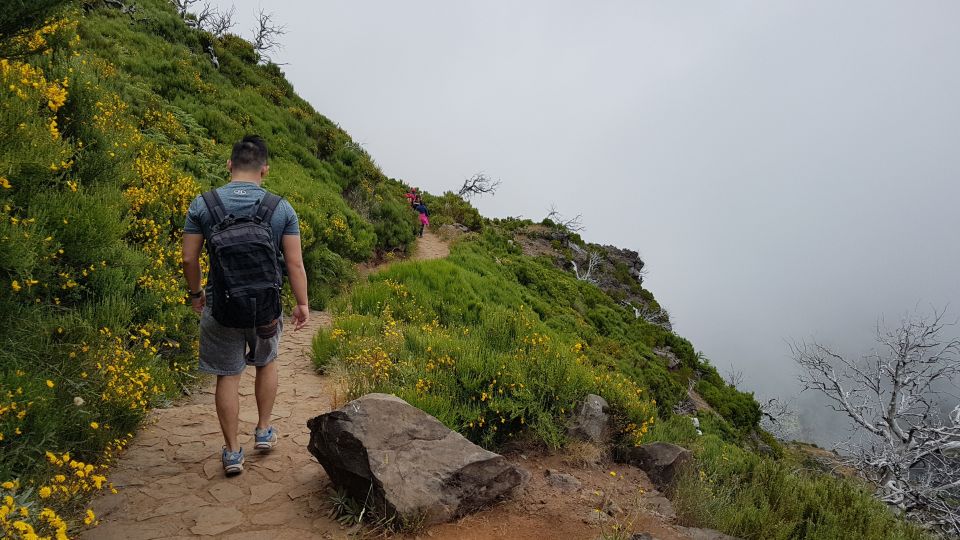 Madeira: Private Guided Pico Areeiro to Pico Ruivo Hike PR1 - Recommendation