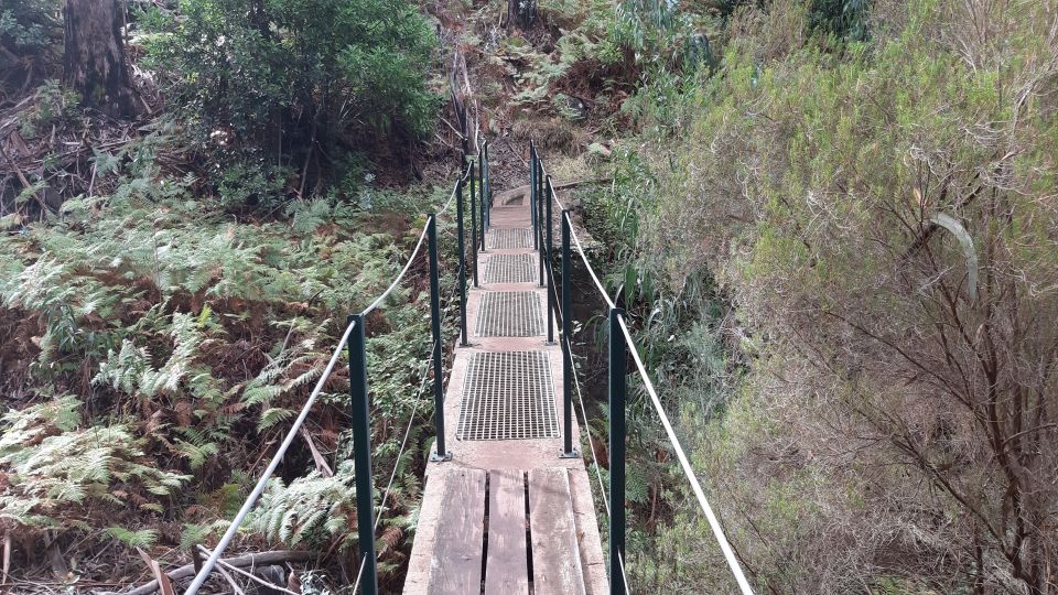 Madeira: Private Levada Ponta Do Pargo Walk - Optional Pickup Service