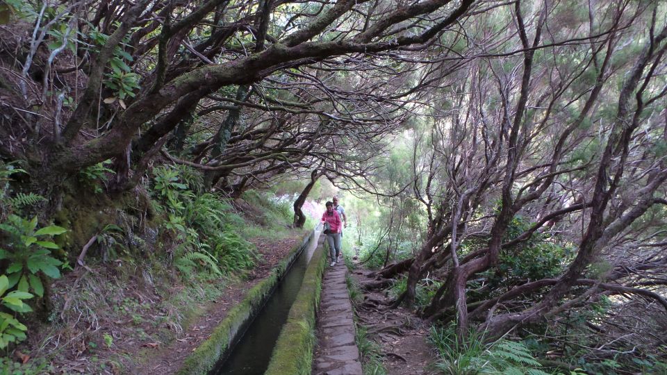 Madeira: Rabaçal 25 Fountains Levada Walk & Cabo Girão - Common questions