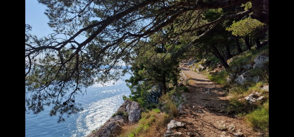 Makarska: Guided Morning/Sunset Hike & Swim Tour - Last Words