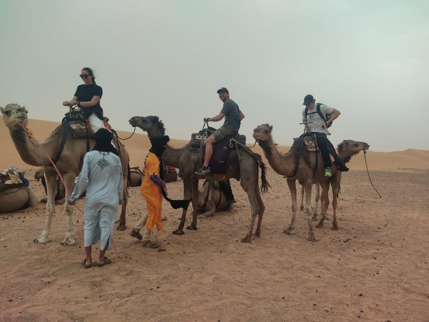 Marrakech: 3-Day Merzouga Desert Tour With Luxury Camp - Common questions